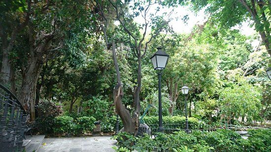 el Huerto de Las Flores