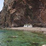 Asadero de Pollos Las Palmeras