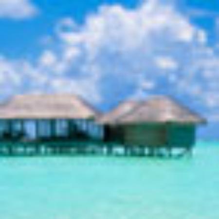 Ristorante Pizzeria Mamma Mia