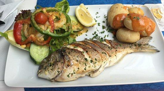 Restaurante la Tortuga