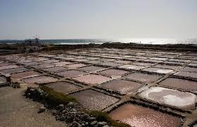 Salinas de Tenefé