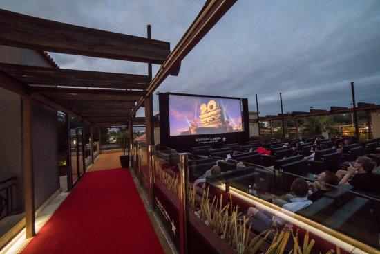 Moonlight Cinema