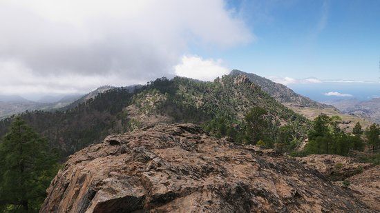 Montana el Aserrador